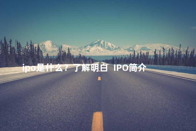 ipo是什么？了解明白  IPO简介  IPO的基本概念